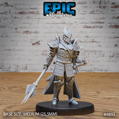 Platinum Paladin #4893-#4895 by Epic Miniatures | D&D Tabletop Miniatures