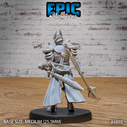 Platinum Paladin #4893-#4895 by Epic Miniatures | D&D Tabletop Miniatures