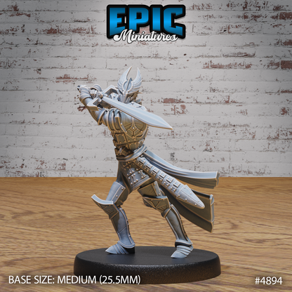 Platinum Paladin #4893-#4895 by Epic Miniatures | D&D Tabletop Miniatures