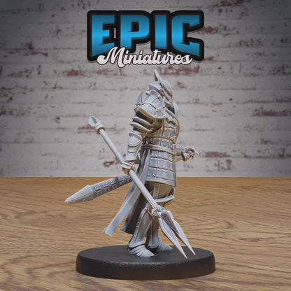 Platinum Paladin #4893-#4895 by Epic Miniatures | D&D Tabletop Miniatures