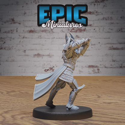 Platinum Paladin #4893-#4895 by Epic Miniatures | D&D Tabletop Miniatures